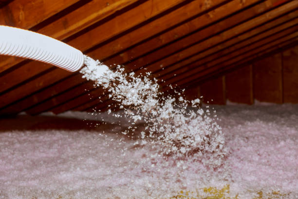 Best Insulation Maintenance and Repair in Charenton, LA