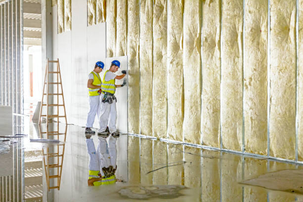 Trusted Charenton, LA Insulation Contractor Experts